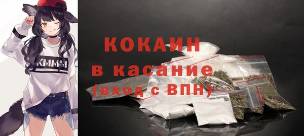 твердый Алексин