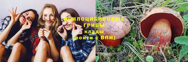 молекула духа Алексеевка