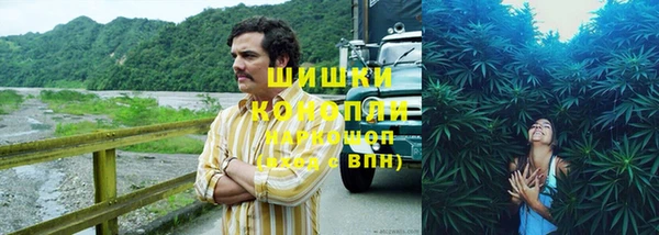 амф Алзамай