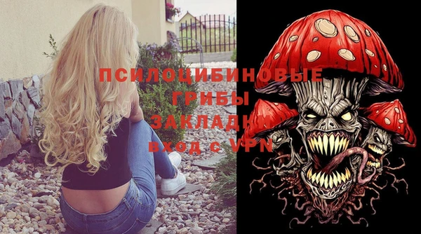 молекула духа Алексеевка