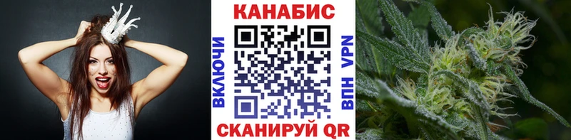 Шишки марихуана сатива  Пустошка 